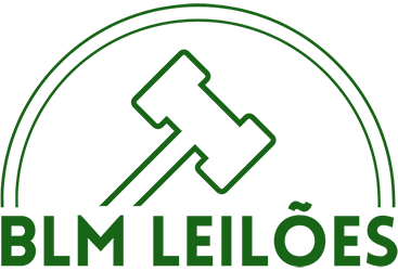 BLM Leilões